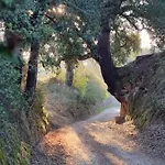 Quinta Da Barroca Do Cabo Bed & Breakfast Azere (Coimbra)