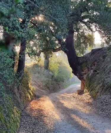 Quinta Da Barroca Do Cabo Alojamento de Acomodação e Pequeno-almoço Ázere