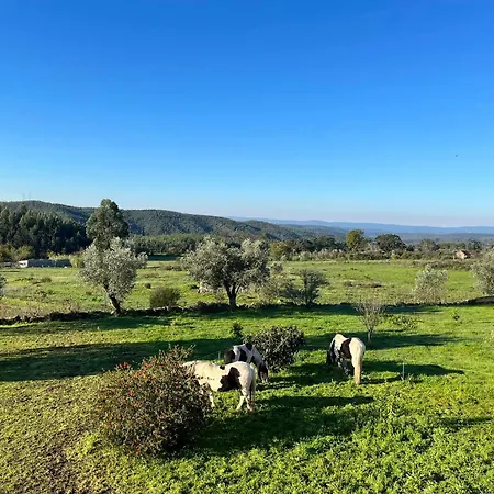Quinta Da Barroca Do Cabo