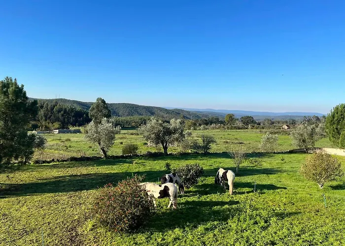 Quinta Da Barroca Do Cabo